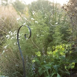 Border Scroll Hook Stake - Large -Cheap Plants Store pr2000034064 card5 lg