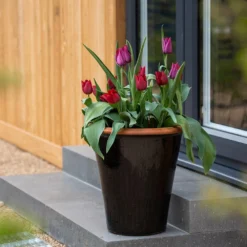 Glazed Terracotta Pot - Black -Cheap Plants Store pr2000034127 card11 lg