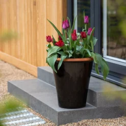 Glazed Terracotta Pot - Black -Cheap Plants Store pr2000034127 card3 lg