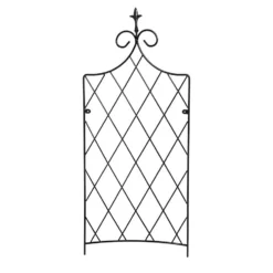 Lattice Trellis