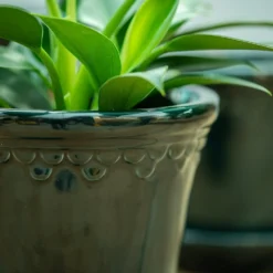 Scalloped Tapered Plant Pot With Saucer - Dark Blue -Cheap Plants Store pr2000035580 card4 lg