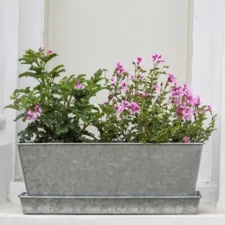 Galvanised Window Trough 8 Galvanised Window Trough -Cheap Plants Store pr2000035781 card3 lg
