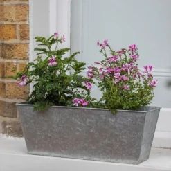 Galvanised Window Trough 11 Galvanised Window Trough -Cheap Plants Store pr2000035781 card6 lg