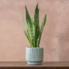Linear Planter - Stonewash Blue