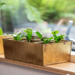 Brass Tray With 6 Brass Grow Pods -Cheap Plants Store pr2000037485 card4 lg