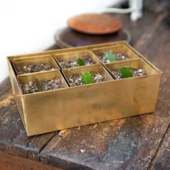 Brass Tray With 6 Brass Grow Pods -Cheap Plants Store pr2000037485 card7 lg