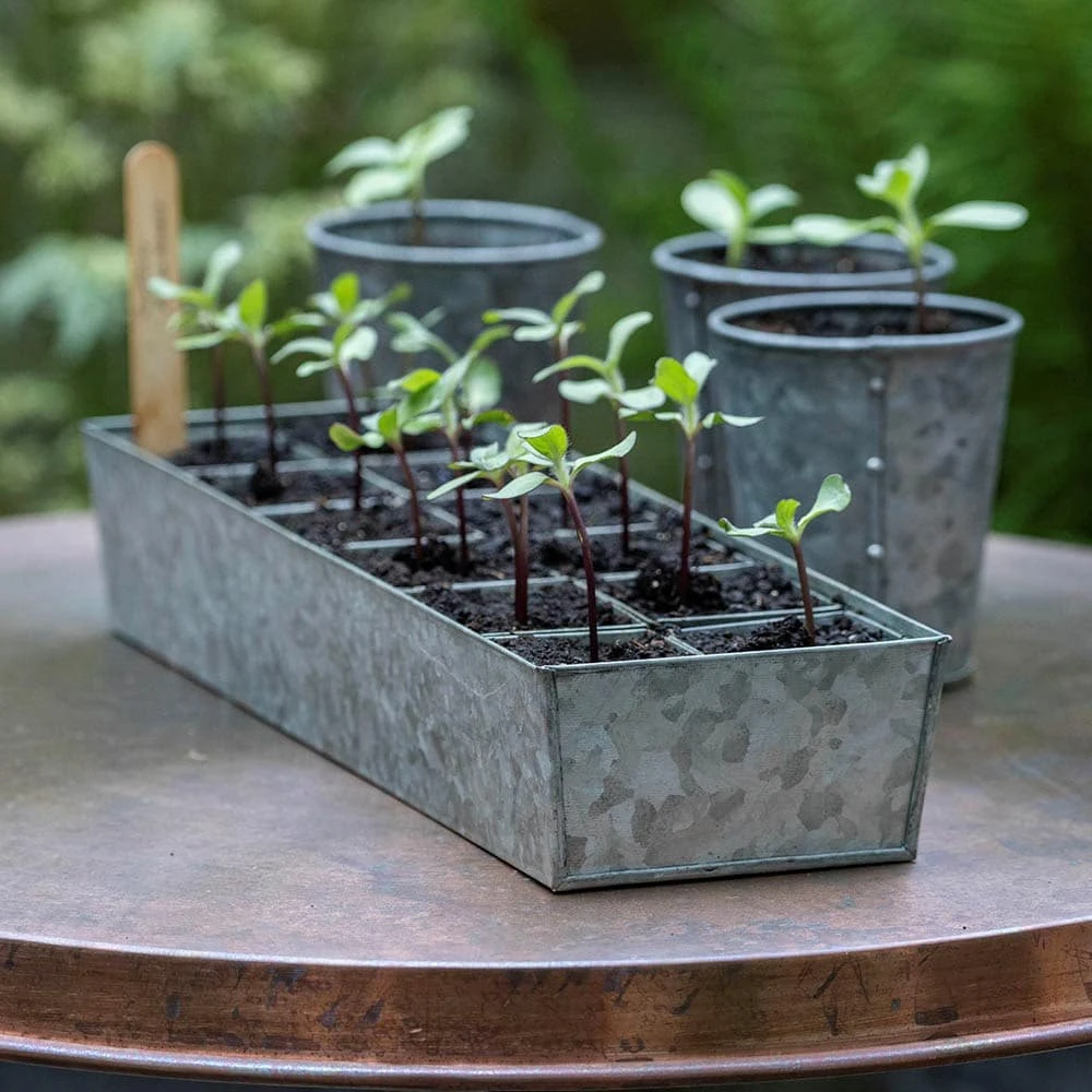 Galvanised Tray With 12 Grow Pods 2 Galvanised Tray With 12 Grow Pods - Image 2
