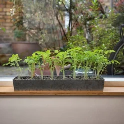 Galvanised Tray With 16 Grow Pods 13 Galvanised Tray With 16 Grow Pods -Cheap Plants Store pr2000037487 card6 lg