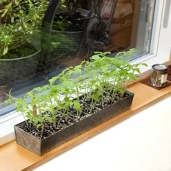 Galvanised Tray With 16 Grow Pods 14 Galvanised Tray With 16 Grow Pods -Cheap Plants Store pr2000037487 card7 lg