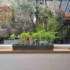 Galvanised Tray With 16 Grow Pods 15 Galvanised Tray With 16 Grow Pods -Cheap Plants Store pr2000037487 card8 lg