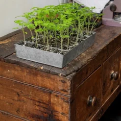 Galvanised Tray With 24 Grow Pods 10 Galvanised Tray With 24 Grow Pods -Cheap Plants Store pr2000037488 card5 lg