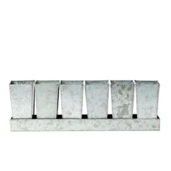 Galvanised Tray With 6 Tall Root Trainer Pods -Cheap Plants Store pr2000037489 card3 lg