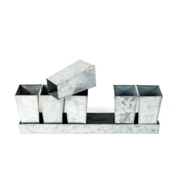 Galvanised Tray With 6 Tall Root Trainer Pods -Cheap Plants Store pr2000037489 card4 lg