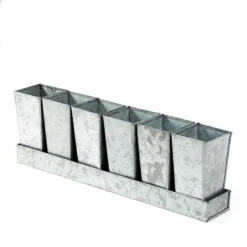 Galvanised Tray With 6 Tall Root Trainer Pods -Cheap Plants Store pr2000037489 card5 lg