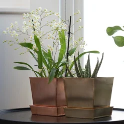 Square Copper Pot And Saucer -Cheap Plants Store pr2000037495 card3 lg
