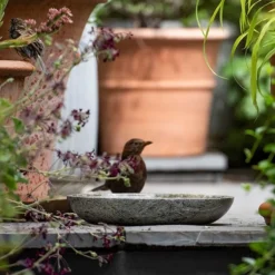 Turned Green Marble Bird Bowl 12 Turned Green Marble Bird Bowl -Cheap Plants Store pr2000037502 card4 lg
