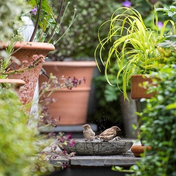 Turned Green Marble Bird Bowl 9 Turned Green Marble Bird Bowl - Image 9