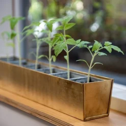 Brass Windowsill Tray With 6 Grow Pods -Cheap Plants Store pr2000037506 card5 lg