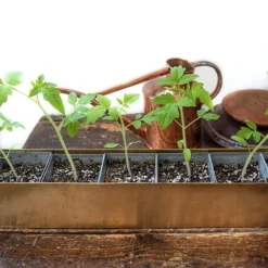Brass Windowsill Tray With 6 Grow Pods -Cheap Plants Store pr2000037506 card6 lg