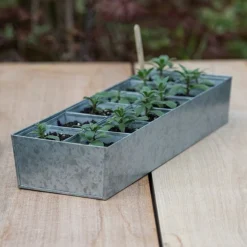 Galvanised Tray With 12 Large Grow Pods -Cheap Plants Store pr2000037508 card3 lg