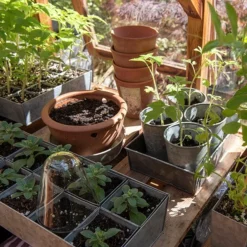 Galvanised Tray With 12 Large Grow Pods -Cheap Plants Store pr2000037508 card7 lg