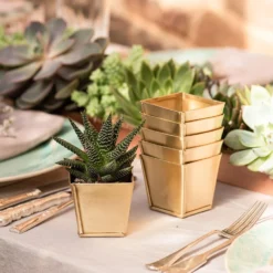 Brass Pots - Set Of 6 12 Brass Pots - Set Of 6 -Cheap Plants Store pr2000037511 card5 lg