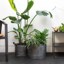 Round Troughs With Blackened Handles - Set Of 2 -Cheap Plants Store pr2000037523 card4 lg