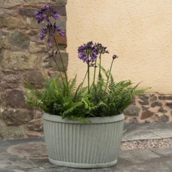 Oval Zinc Dolly Tub Pot -Cheap Plants Store pr2000037524 card6 lg