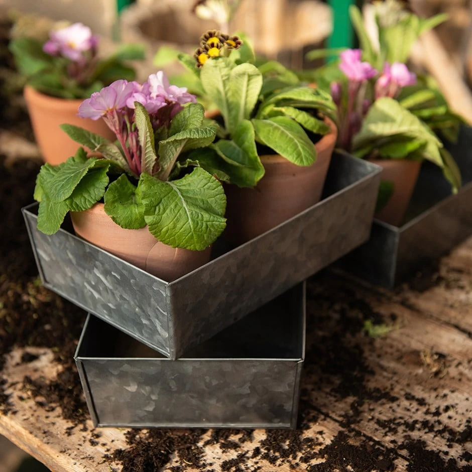 Grow Trays Portrait - Set Of 3 1 Grow Trays Portrait - Set Of 3