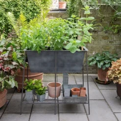 Trough Stand With Shelf - Long -Cheap Plants Store pr2000037547 card6 lg