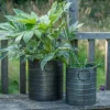 Galvanised Cylinder Pot