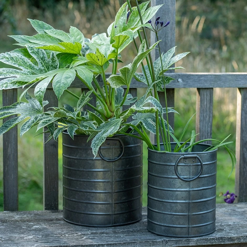 Galvanised Cylinder Pot 1 Galvanised Cylinder Pot