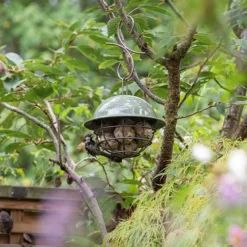 Birdie Fat Snax Feeder - Crocus Green -Cheap Plants Store pr2000037554 card3 lg