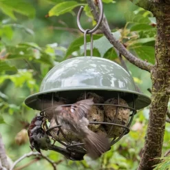 Birdie Fat Snax Feeder - Crocus Green -Cheap Plants Store pr2000037554 card4 lg