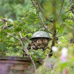 Birdie Fat Snax Feeder - Crocus Green -Cheap Plants Store pr2000037554 card6 lg