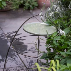 Plant Support With Bird Bowl - Crocus Green -Cheap Plants Store pr2000037555 card4 lg