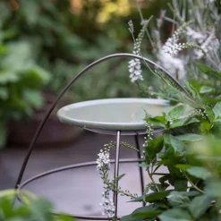 Plant Support With Bird Bowl - Crocus Green -Cheap Plants Store pr2000037555 card5 lg