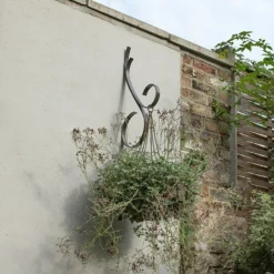 Scroll Wall Hook - Graphite -Cheap Plants Store pr2000037558 card4 lg