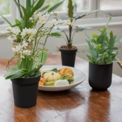 Charcoal Metal Plant Pot Cover With Enamel Interior 10 Charcoal Metal Plant Pot Cover With Enamel Interior -Cheap Plants Store pr2000037568 card5 lg