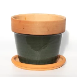 Natural Terracotta Saucer 7 Natural Terracotta Saucer -Cheap Plants Store pr2000037584 card3 lg