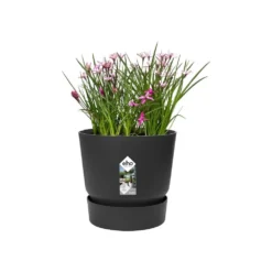 Greenville Round Pot Black -Cheap Plants Store pr2000038224 card3 lg