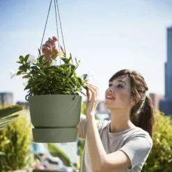 Greenville Hanging Basket Green 7 Greenville Hanging Basket Green -Cheap Plants Store pr2000038231 card4 lg