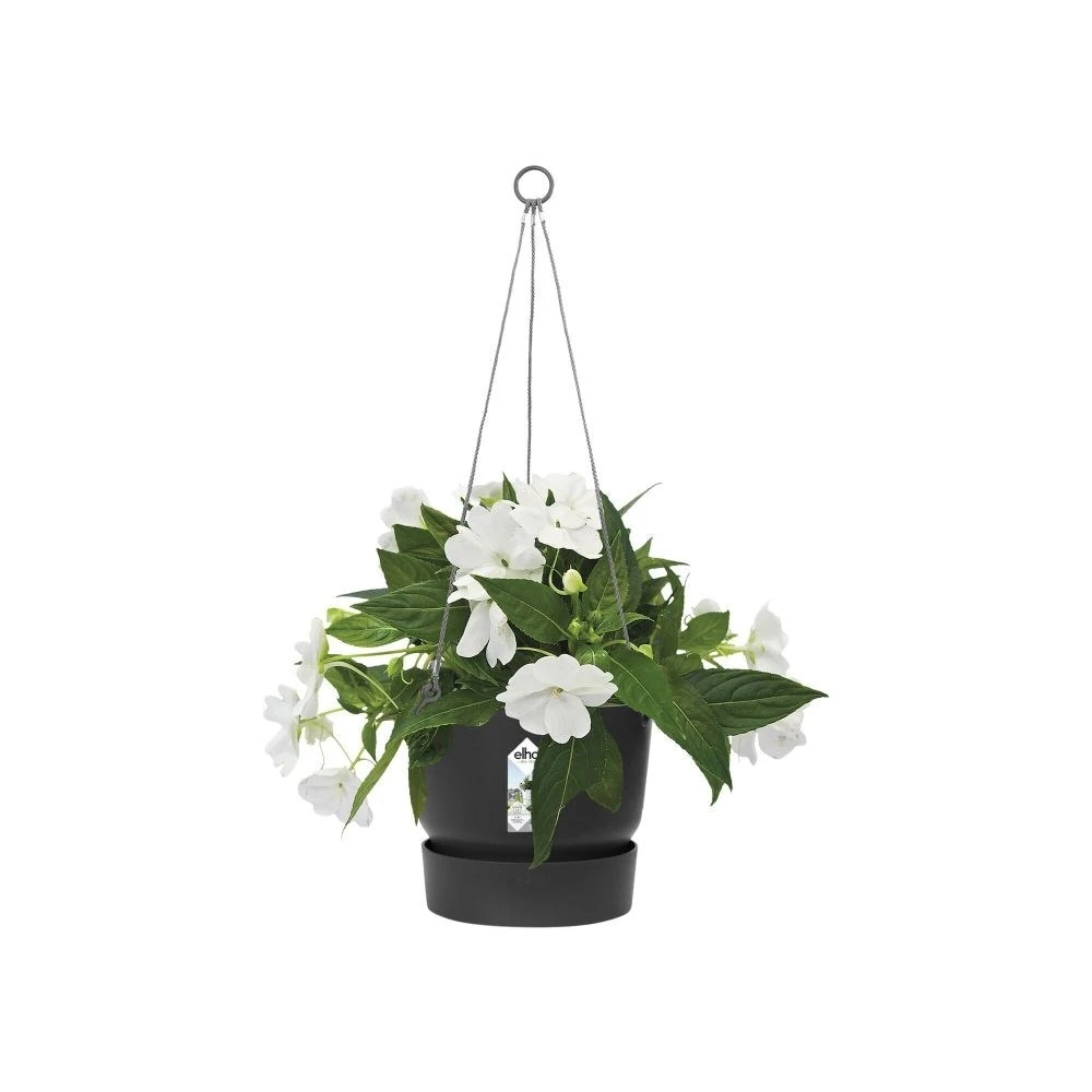 Greenville Hanging Basket Black 2 Greenville Hanging Basket Black - Image 2