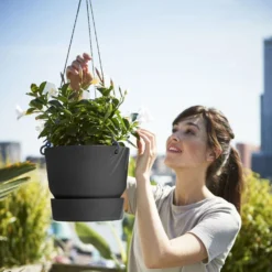 Greenville Hanging Basket Black 7 Greenville Hanging Basket Black -Cheap Plants Store pr2000038232 card4 lg