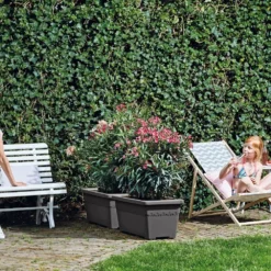 Algarve Terrace Wheels Anthracite -Cheap Plants Store pr2000038240 card3 lg