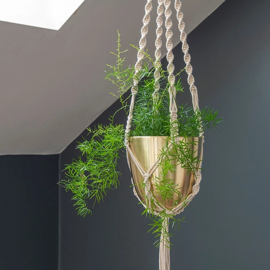 Macrame Hanger With Brushed Brass Pot 1 Macrame Hanger With Brushed Brass Pot