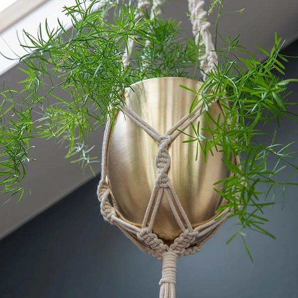Macrame Hanger With Brushed Brass Pot 2 Macrame Hanger With Brushed Brass Pot - Image 2