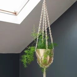 Macrame Hanger With Brushed Brass Pot 5 Macrame Hanger With Brushed Brass Pot -Cheap Plants Store pr2000038571 card4 lg