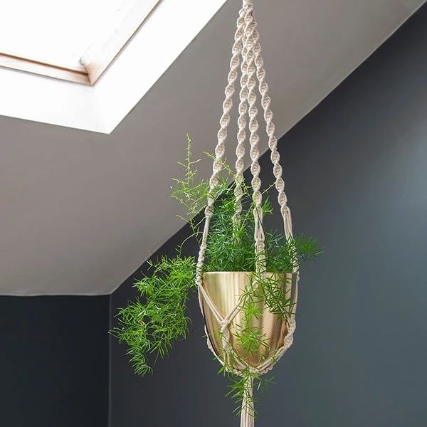 Macrame Hanger With Brushed Brass Pot 3 Macrame Hanger With Brushed Brass Pot - Image 3