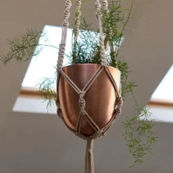 Macrame Hanger With Brushed Copper Pot -Cheap Plants Store pr2000038572 card4 lg